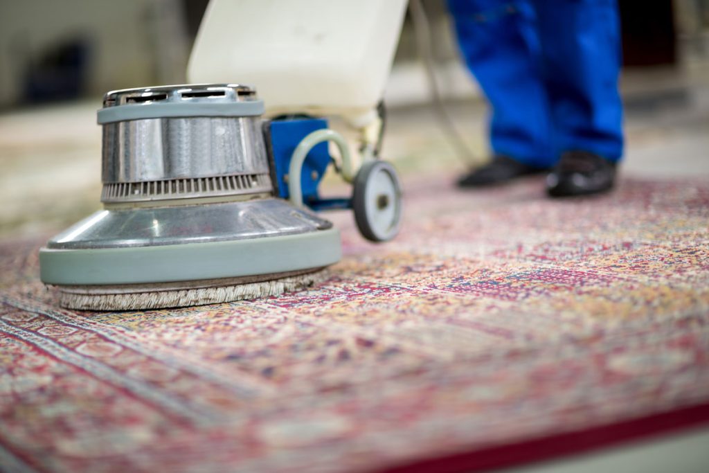 Real Rug Wipe The Essential Guide to Professional Rug Cleaning in Edinburgh - Bricks ...